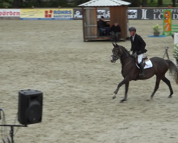 Reitturnier Westergellersen 2021