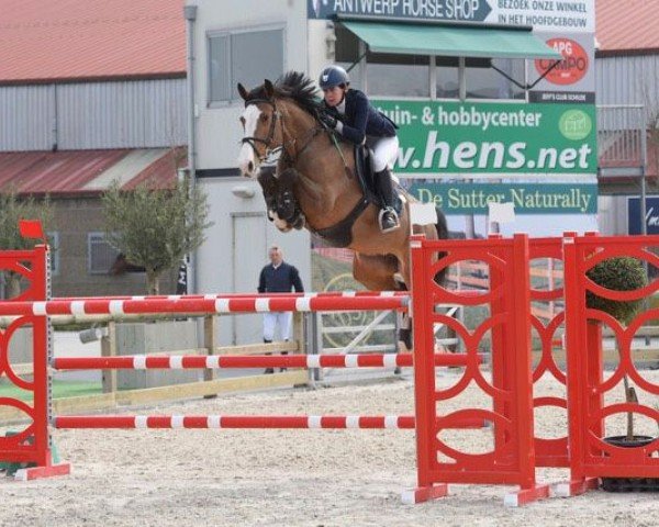 broodmare Cassiopea (Holsteiner, 2009, from Cassini I)