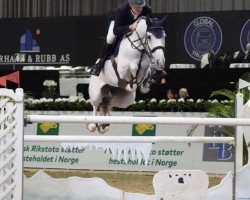 broodmare Assira (Sella Italiano, 2010, from Berlin)