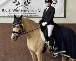 dressage horse A Little Heartbreaker (German Riding Pony, 2016, from A Gorgeous)