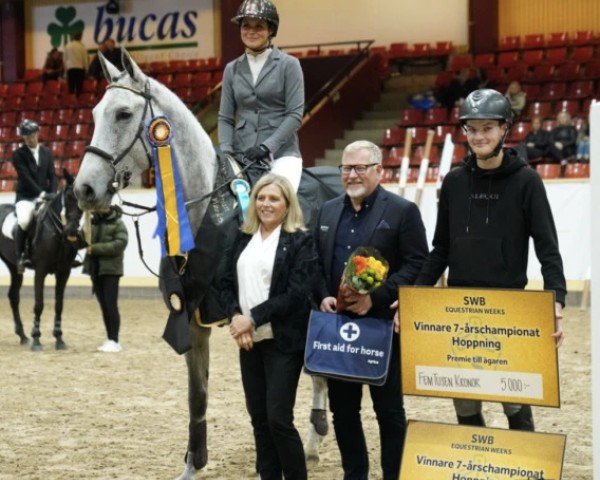 jumper Castiglion T (Swedish Warmblood, 2016, from Corporal VDL)