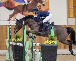 jumper Donna 820 (German Riding Pony, 2007, from Durello)