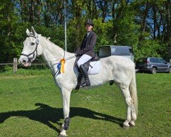 jumper Kleiner Onkel 145 (Holsteiner, 2005, from Calato)