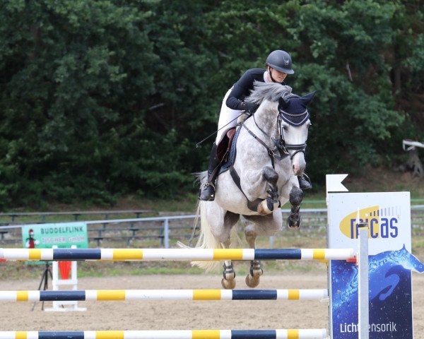 broodmare Roveena -M (German Sport Horse, 2011, from Colestus)