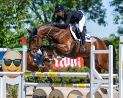jumper Dinkibell (Holsteiner, 2018, from Dinken)