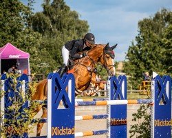 Springpferd Carmina Z (Zangersheide Reitpferd, 2011, von Crown Z)