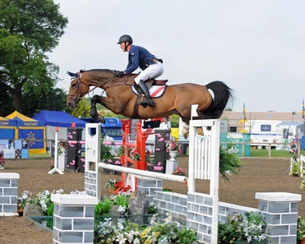 Springpferd La Cawarra (Schwedisches Warmblut, 2005, von Last Liberty)
