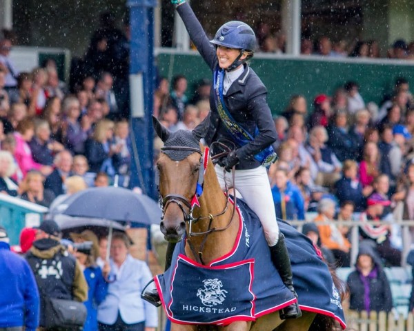 jumper Galway Bay Jed (anglo european sporthorse, 2008, from Romanov)