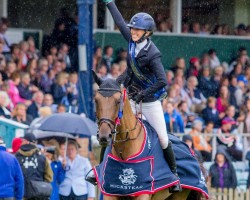 Springpferd Galway Bay Jed (Anglo Europäisches Sportpferd, 2008, von Romanov)