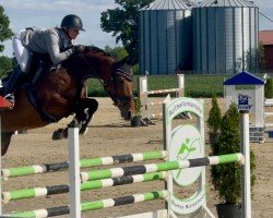 jumper Cadmo's Kleine (Westphalian, 2018, from Cadmo van de Pluum)