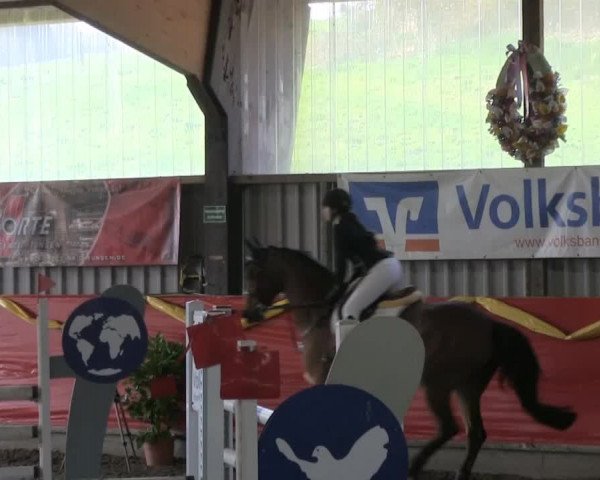 Hallenreitturnier Lindlar-Süttenbach 2014