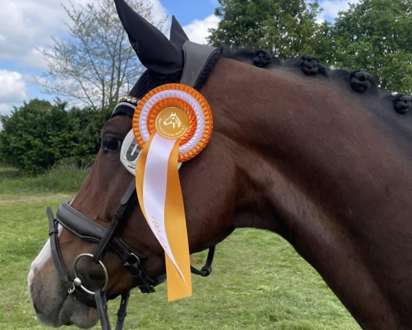 dressage horse Zoonira (Westphalian, 2019, from Zoom)