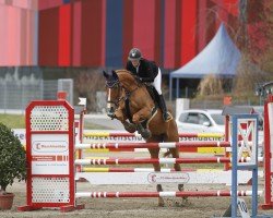 broodmare Geany Whisper (Hanoverian, 2013, from Gavi)