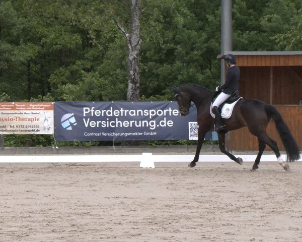 Reitturnier Erkrath - Uhlenhof 2025