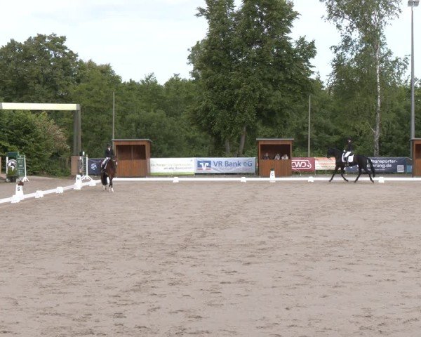 Reitturnier Erkrath - Uhlenhof 2025