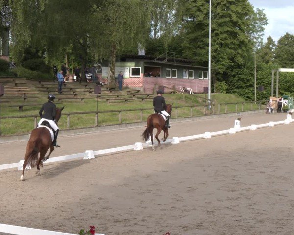 Reitturnier Erkrath - Uhlenhof 2025