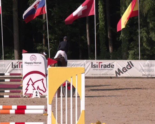 Reitturnier Ranshofen - Braunau am Inn 2025