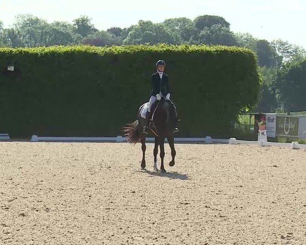 Reitturnier Notzing/Obb. 2025