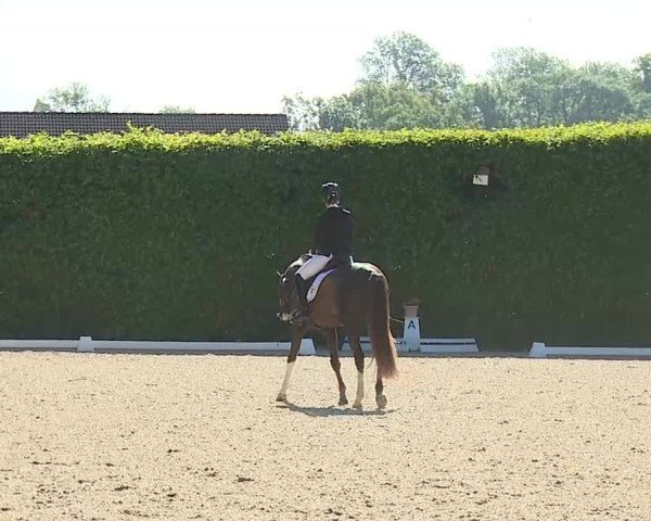 Reitturnier Notzing/Obb. 2025