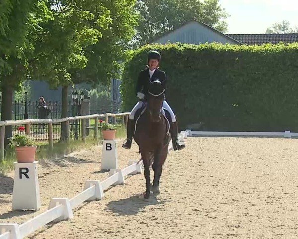 Reitturnier Notzing/Obb. 2025