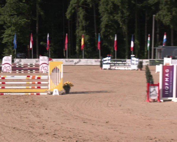 Reitturnier Ranshofen - Braunau am Inn 2025