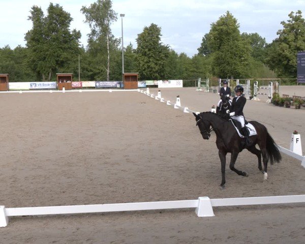 Reitturnier Erkrath - Uhlenhof 2025