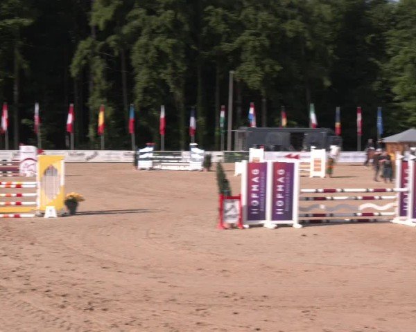 Reitturnier Ranshofen - Braunau am Inn 2025