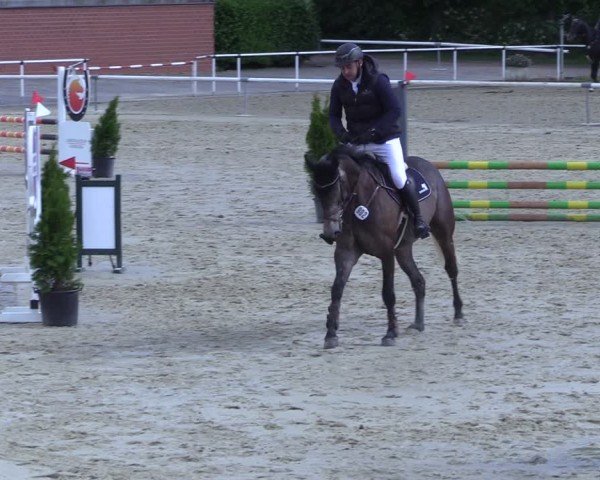Reitturnier Ostenfelde-Vornholz 2025