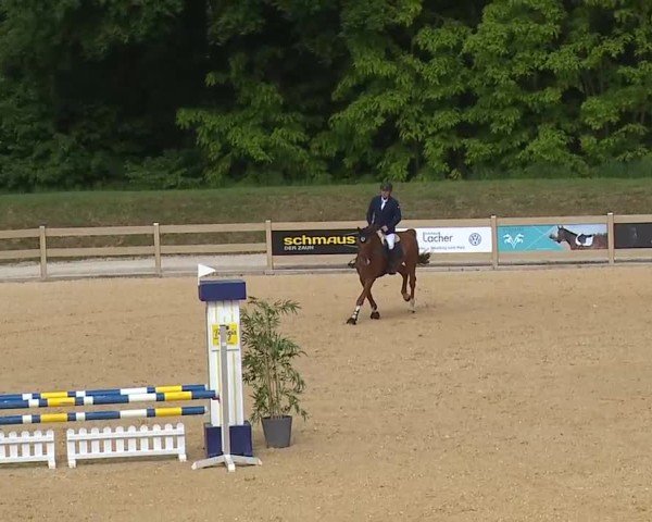 Reitturnier Tiefenhof/Opf. 2025