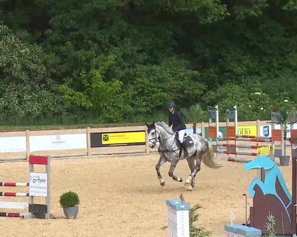 Reitturnier Tiefenhof/Opf. 2025