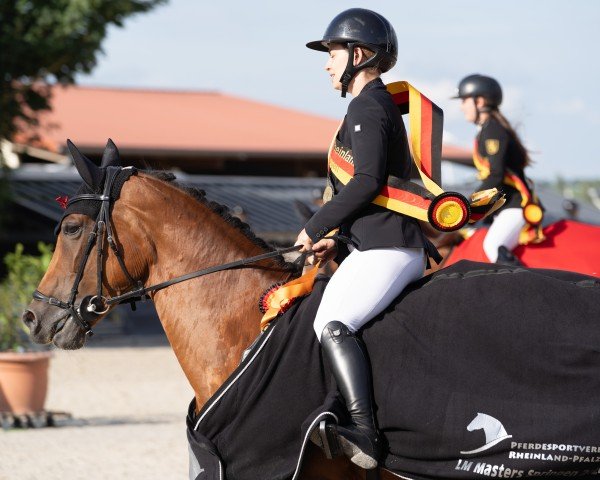 jumper Loudovica (Hanoverian, 2015, from Ludwig von Bayern 168 FIN) jumper Loudovica (Hanoverian, 2015, from Ludwig von Bayern 168 FIN)