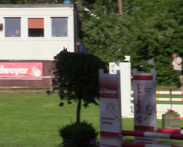 Reitturnier Zeven 2025