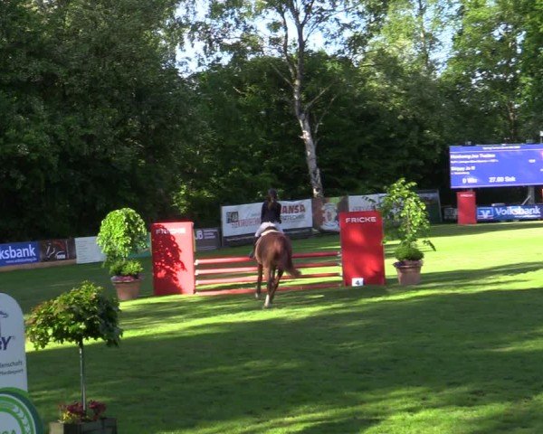 Reitturnier Zeven 2025