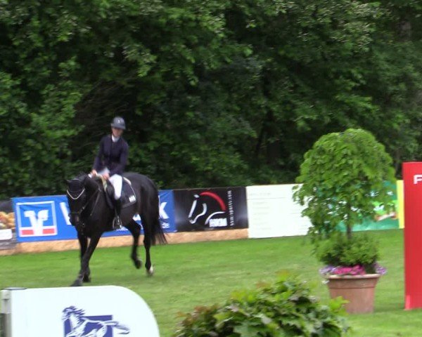 Reitturnier Zeven 2025