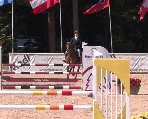 Reitturnier Ranshofen - Braunau am Inn 2025