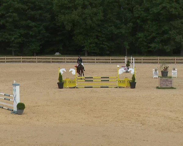 Reitturnier Tiefenhof/Opf. 2025