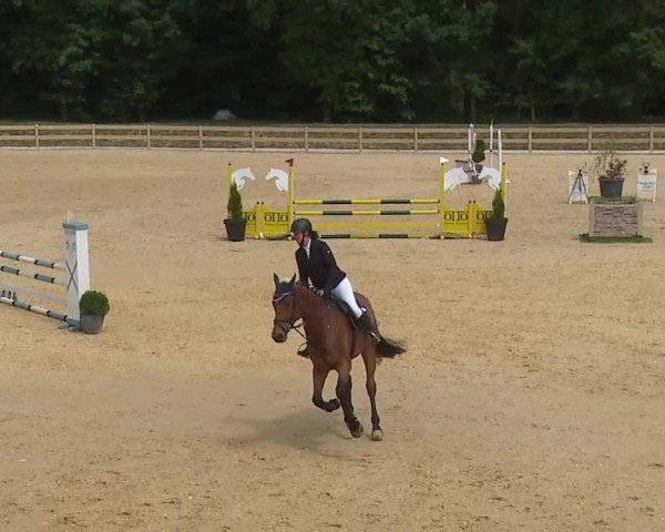 Reitturnier Tiefenhof/Opf. 2025