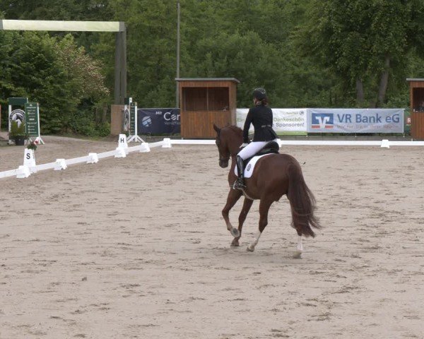 Reitturnier Erkrath - Uhlenhof 2025