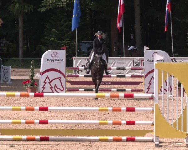 Reitturnier Ranshofen - Braunau am Inn 2025