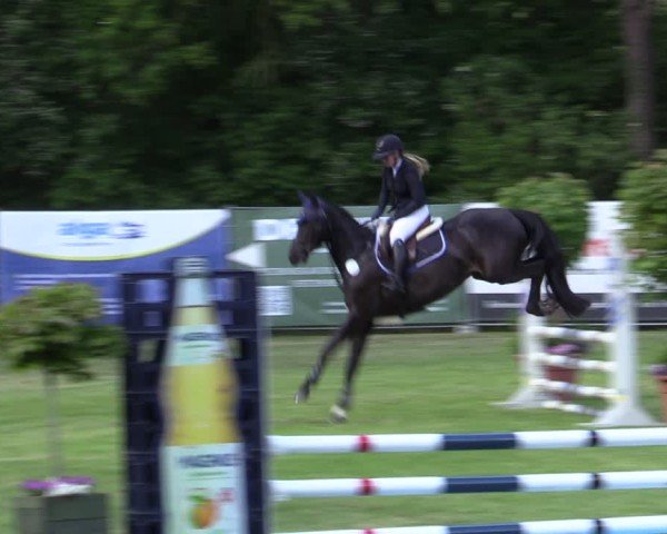 Reitturnier Zeven 2025