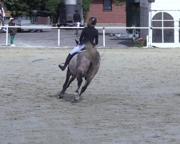 Reitturnier Ostenfelde-Vornholz 2025