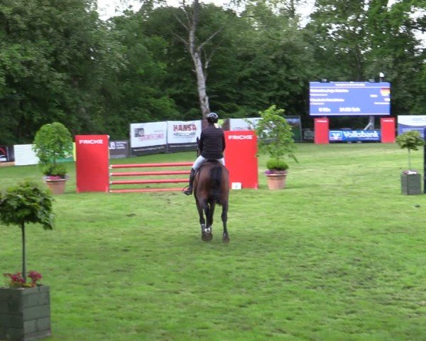 Reitturnier Zeven 2025