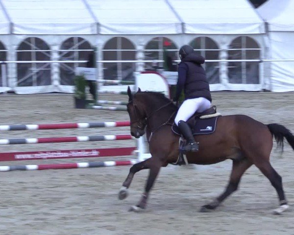 Reitturnier Ostenfelde-Vornholz 2025