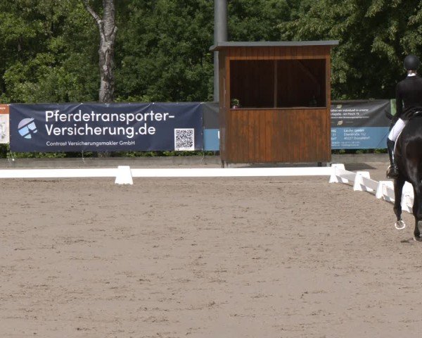Reitturnier Erkrath - Uhlenhof 2025