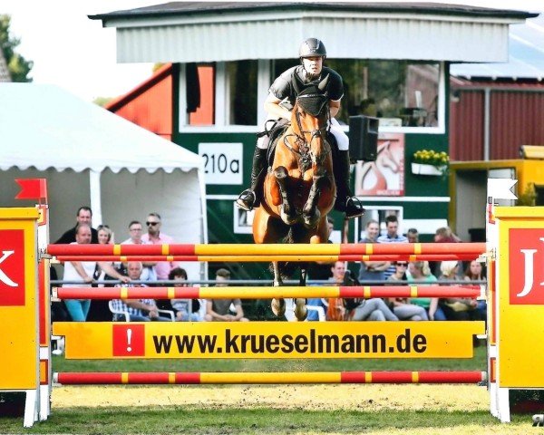 Springpferd Call Her Coco (Westfale, 2007, von Clintop 2)