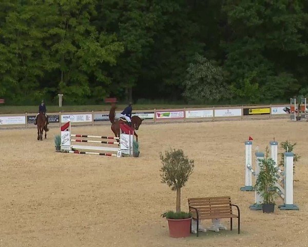 Reitturnier Tiefenhof/Opf. 2025