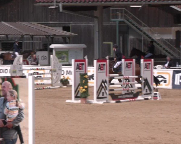 Reitturnier Ranshofen - Braunau am Inn 2025