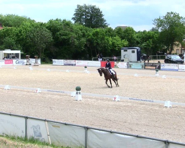 Reitturnier Mallersdorf-Pfaffenberg/Ndb. 2025