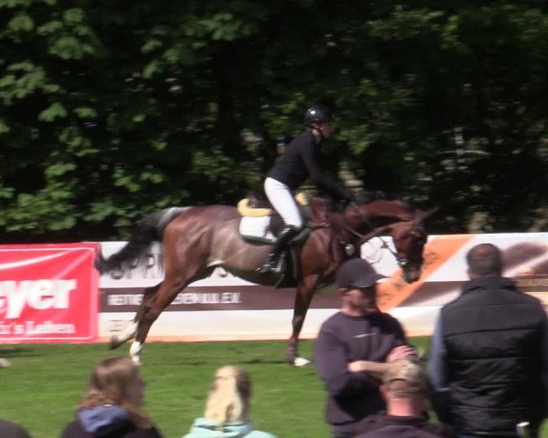 Reitturnier Zeven 2025