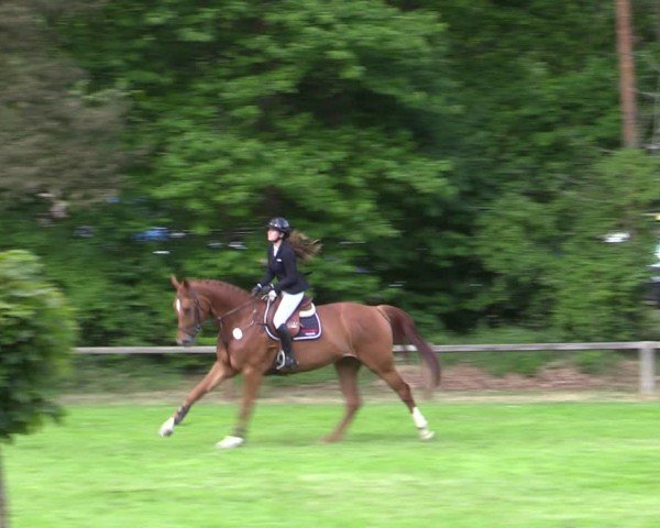 Reitturnier Zeven 2025